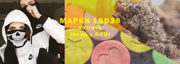 ГАЛЛЮЦИНОГЕННЫЕ ГРИБЫ Аркадак