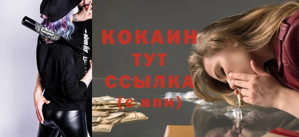 шишки Баксан