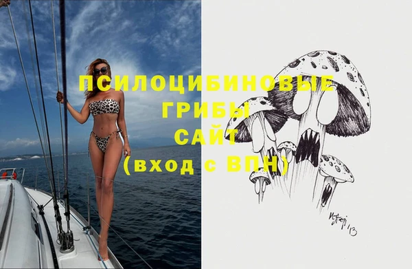 шишки Баксан