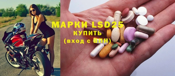ГАЛЛЮЦИНОГЕННЫЕ ГРИБЫ Аркадак
