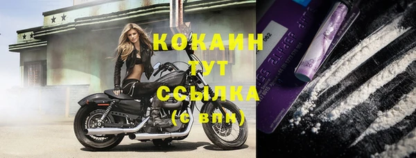 шишки Баксан