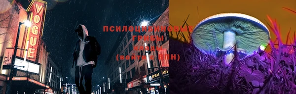 прущие крисы Арсеньев