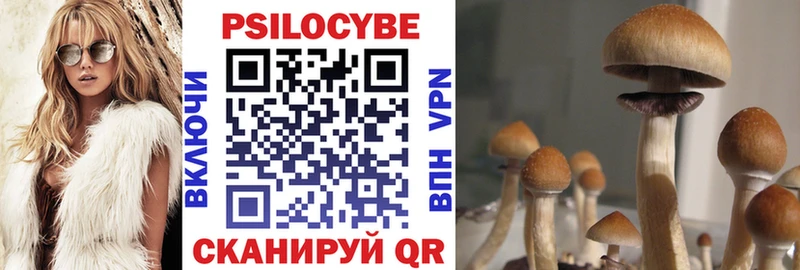 закладка  Курлово  KRAKEN маркетплейс  Галлюциногенные грибы Cubensis 